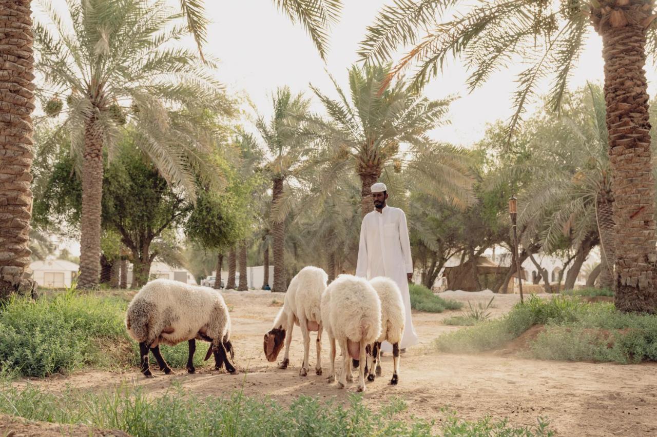 Heenat Salma Farm Ash-Shahaniyah Exteriér fotografie